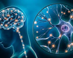 Neuro Physician in Agra